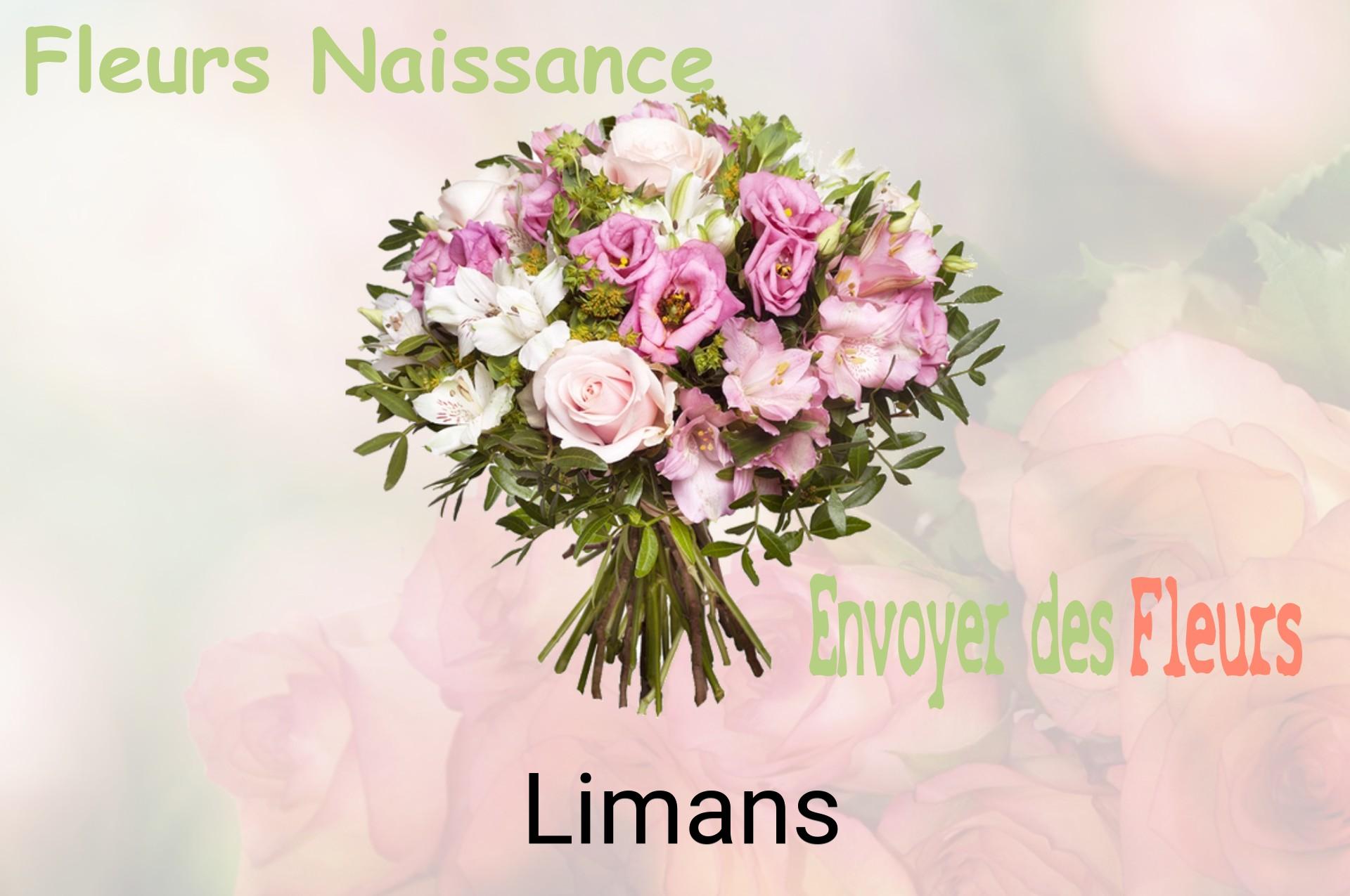 Bouquet de fleurs de naissance livré à Limans